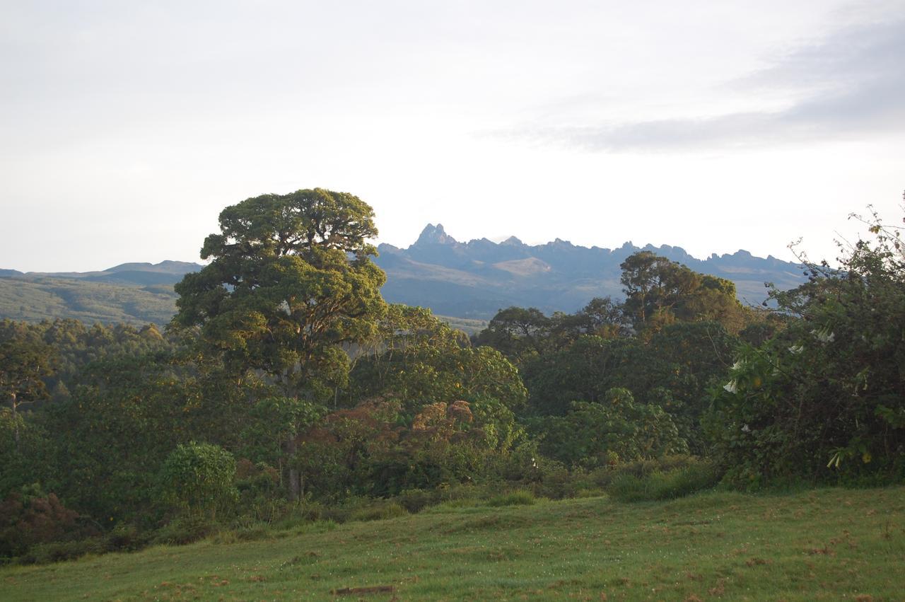 Castle Forest Lodge Mount Kenya National Park Exterior foto