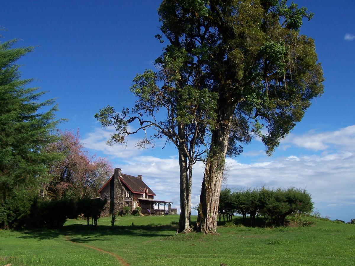 Castle Forest Lodge Mount Kenya National Park Exterior foto