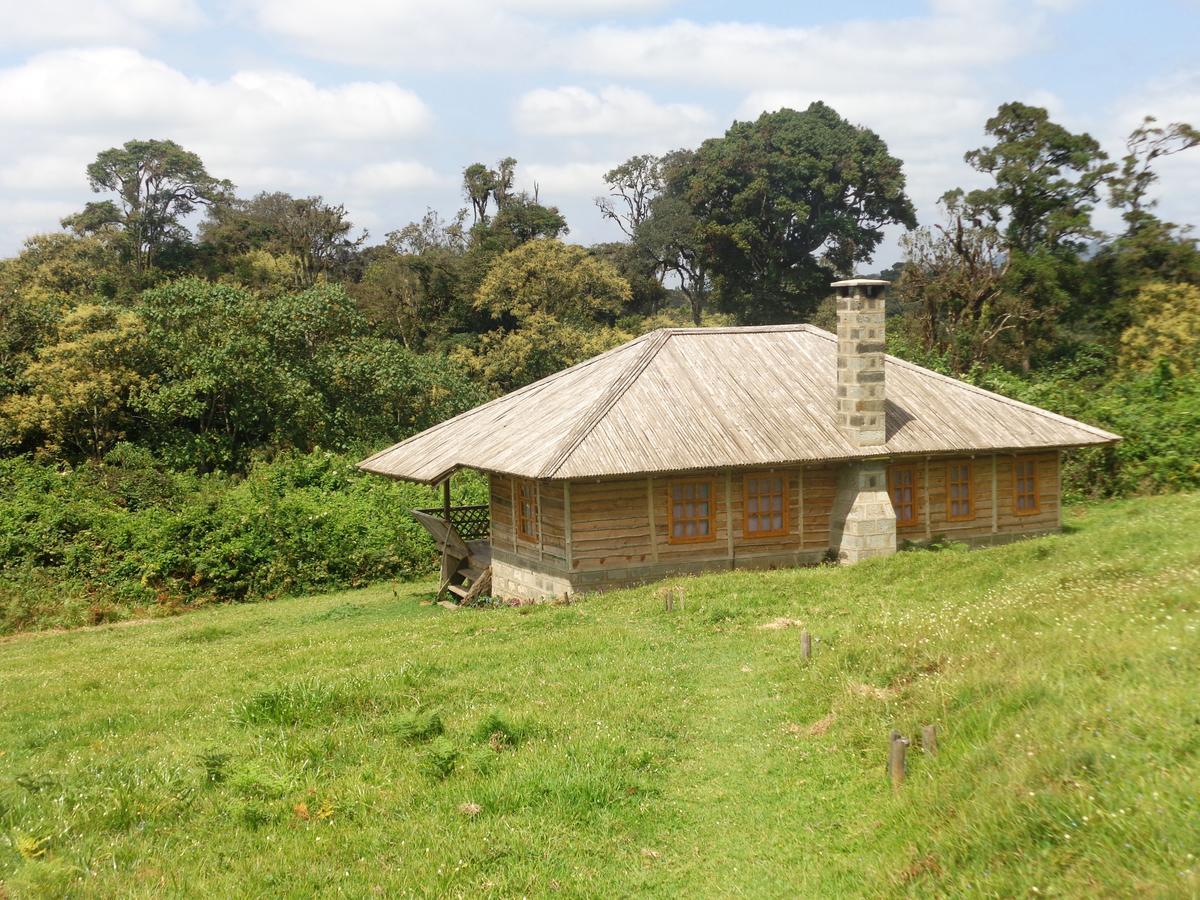 Castle Forest Lodge Mount Kenya National Park Exterior foto